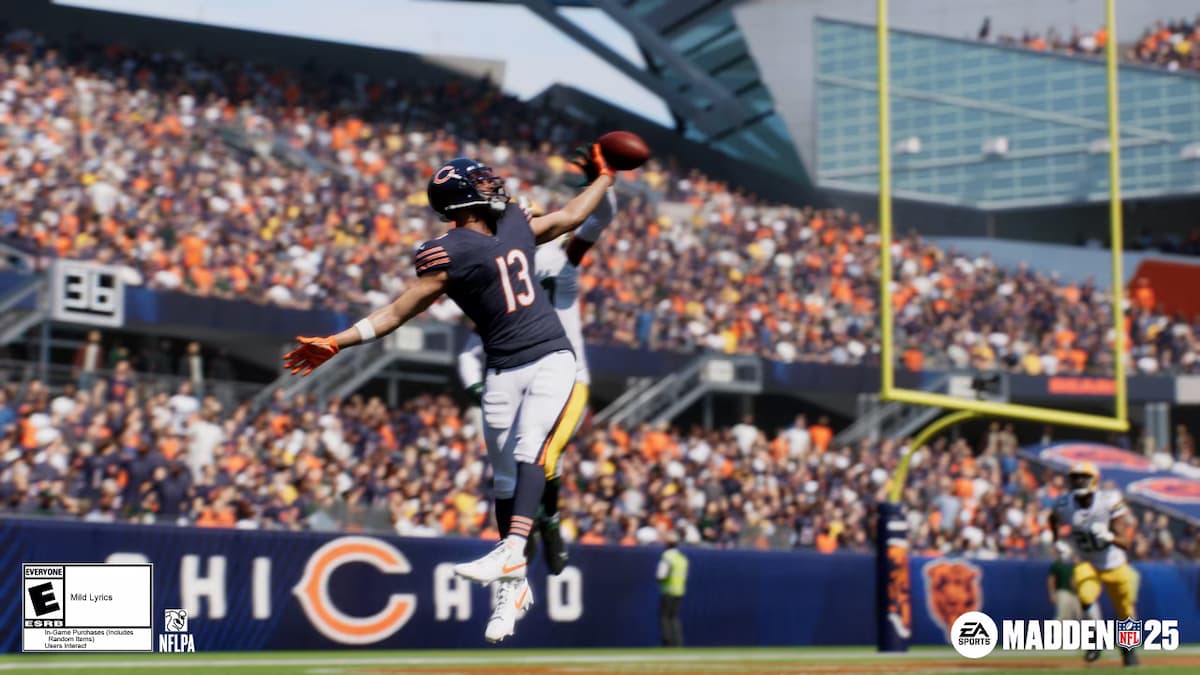 Chicago Bears WR makes a one-handed catch in the endzone, with fans cheering in the background.